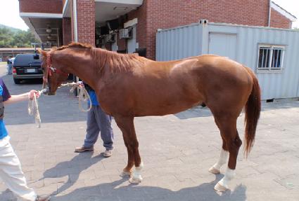 �±س��� ����