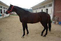 �ٴ����� (BADA JEWANG) ����