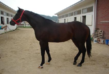 �ٴ����� ����