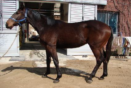 ���ϵ��� ����