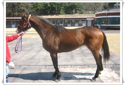 ī���� ����