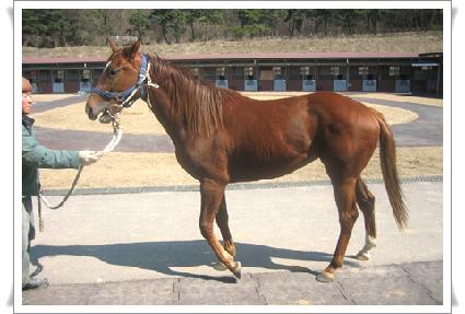 Ǫ������ ����