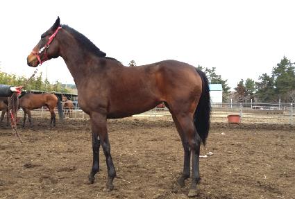 �������� ����