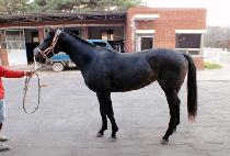 �Ϳ͵յ� (WAWADUNGDUNG) ����