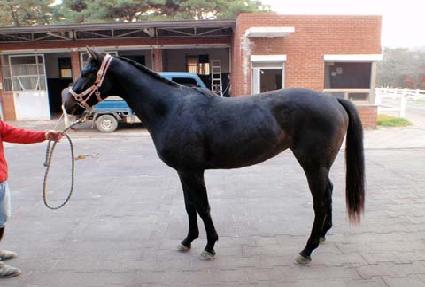 �Ϳ͵յ� ����