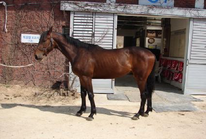 �����̱��� ����