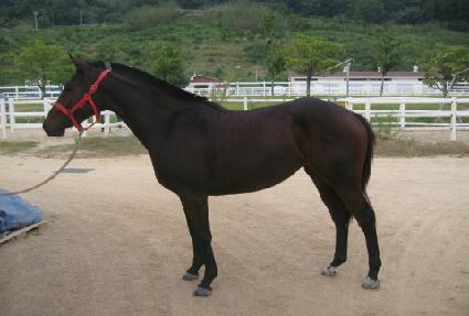 Ȳ�ݿ��� ����