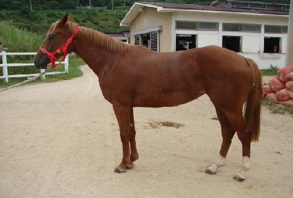 ��ũ ����