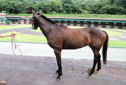 �ۼ���Ʈ ����