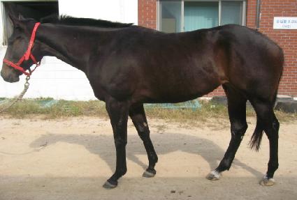 õ����Ʈ ����