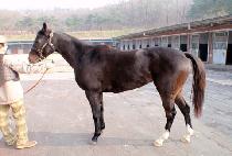 �ð����Ѿ (SIGONGEULLEOMEOSEO) ����