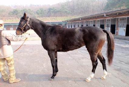 �ð����Ѿ ����