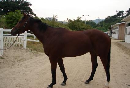 Ȱ������ ����