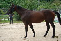 �޳��� (KKUMNAMU) ����