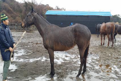 ��罺�� ����