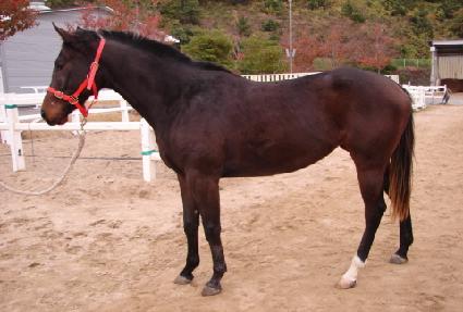 ��ó�� ����