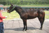 �����屺 (GIHEUNGJANGGUN) ����