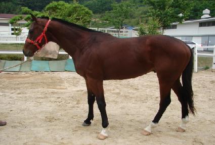 ���̵� ����