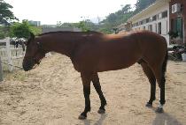 ���ּ� (UJUSEONG) ����