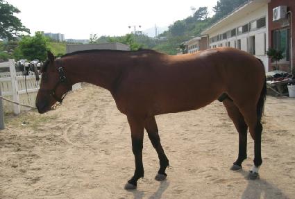 ���ּ� ����