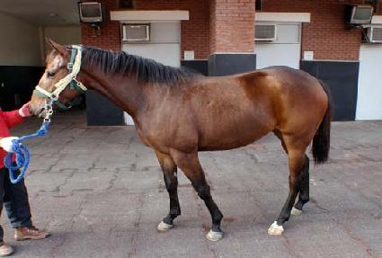 ���� ����