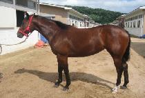 ��¸��� (USEUNGMOLI) ����