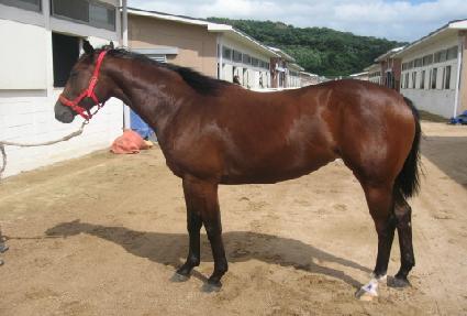 ��¸��� ����