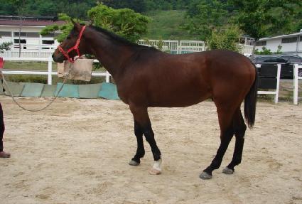 ���� ����