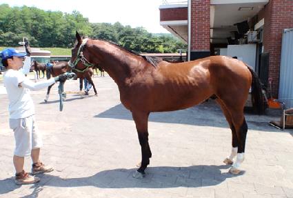 �ݻ��� ����