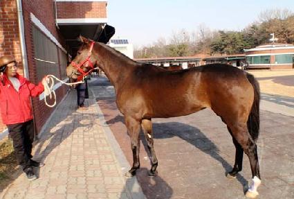 ����Ʈ�� ����