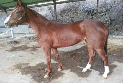 ���￩�� ����