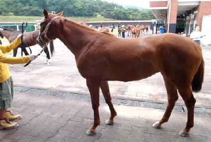 �Ҳɿ��� ����