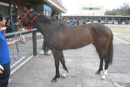 �����̽� ����