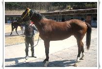 īī�ް� (KAKAMEGA) ����