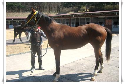 īī�ް� ����