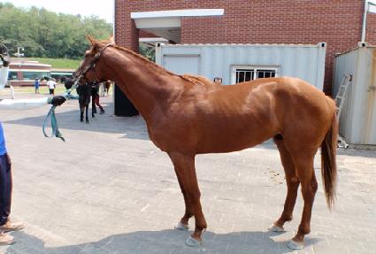 ���ѵ��� ����