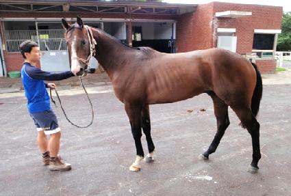 Ȧ�����³� ����