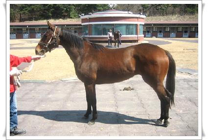 ����ó�� ����