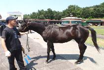 ����ȣ�� (DAEHANHOGEOL) ����