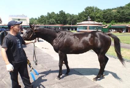 ����ȣ�� ����