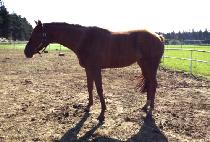 SAEBYEOKCHEONSA picture