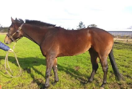 ����� ����