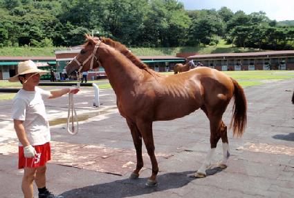 ����� ����