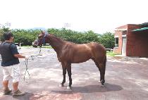 �뼺���� (DAESEONGYEOJE) ����