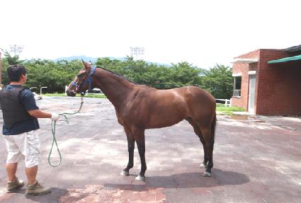 �뼺���� ����