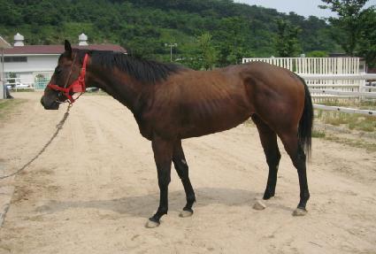 ���� ����