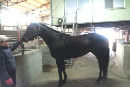 �뼺õ�� ����