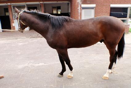 �Ŀ�����ĭ ����