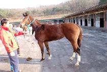 ��Ʈ�� (FORTSA) ����