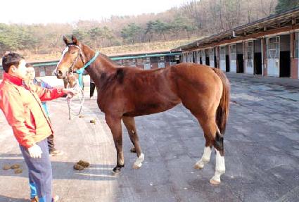 ��Ʈ�� ����